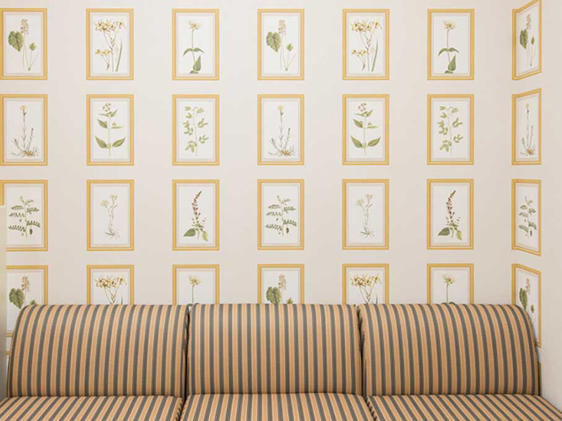 八女発心会 姫野病院