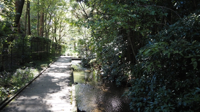 自然公園