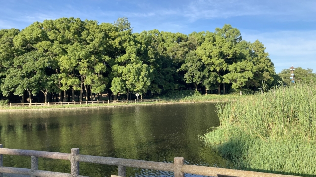 自然公園