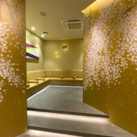 GINZA NOA CLINIC